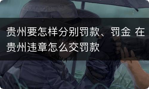 贵州要怎样分别罚款、罚金 在贵州违章怎么交罚款