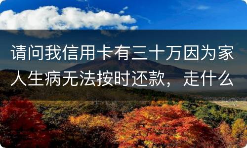 请问我信用卡有三十万因为家人生病无法按时还款，走什么途径可以延期呢