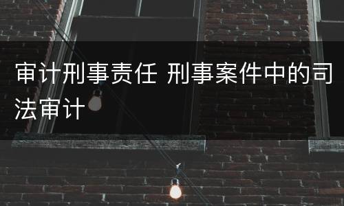 审计刑事责任 刑事案件中的司法审计