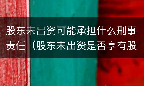 股东未出资可能承担什么刑事责任（股东未出资是否享有股东权利）