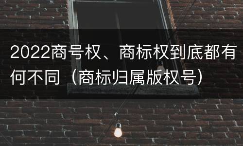 2022商号权、商标权到底都有何不同（商标归属版权号）