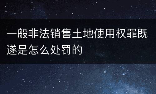 一般非法销售土地使用权罪既遂是怎么处罚的