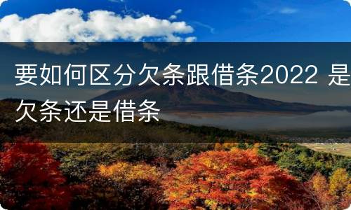 要如何区分欠条跟借条2022 是欠条还是借条