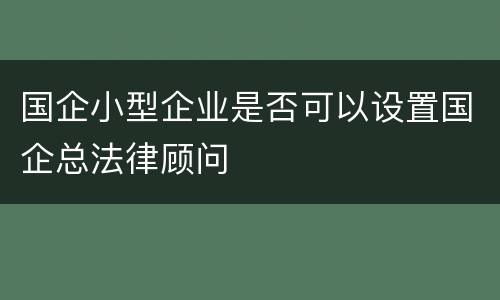 国企小型企业是否可以设置国企总法律顾问