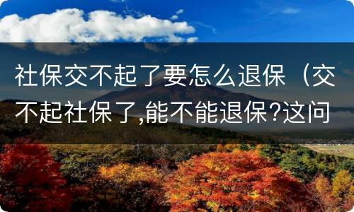 社保交不起了要怎么退保（交不起社保了,能不能退保?这问题,终于有答案了!）