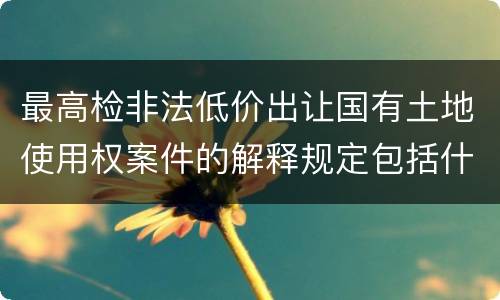 最高检非法低价出让国有土地使用权案件的解释规定包括什么主要内容