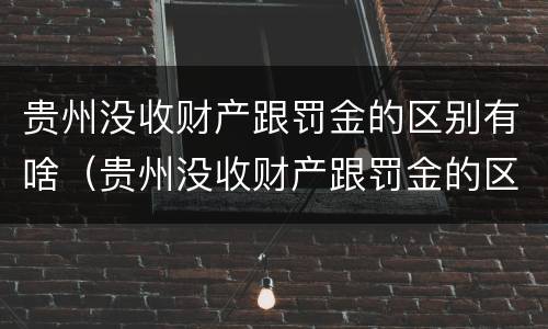 贵州没收财产跟罚金的区别有啥（贵州没收财产跟罚金的区别有啥不一样）