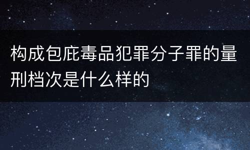 构成包庇毒品犯罪分子罪的量刑档次是什么样的