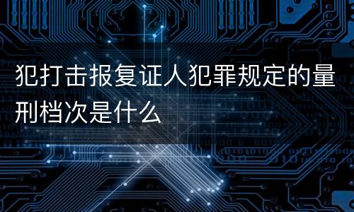 犯打击报复证人犯罪规定的量刑档次是什么