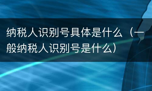 纳税人识别号具体是什么（一般纳税人识别号是什么）