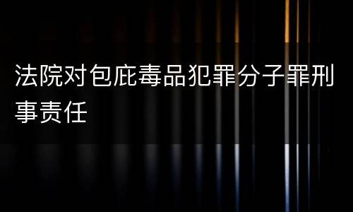 法院对包庇毒品犯罪分子罪刑事责任