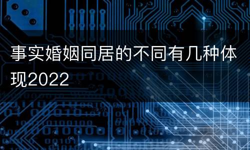 事实婚姻同居的不同有几种体现2022