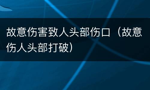 故意伤害致人头部伤口（故意伤人头部打破）