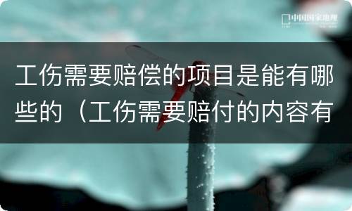 工伤需要赔偿的项目是能有哪些的（工伤需要赔付的内容有哪些?）