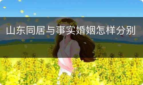 山东同居与事实婚姻怎样分别