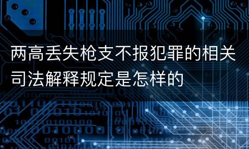 两高丢失枪支不报犯罪的相关司法解释规定是怎样的