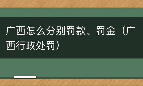 广西怎么分别罚款、罚金（广西行政处罚）