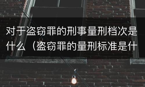 对于盗窃罪的刑事量刑档次是什么（盗窃罪的量刑标准是什么）