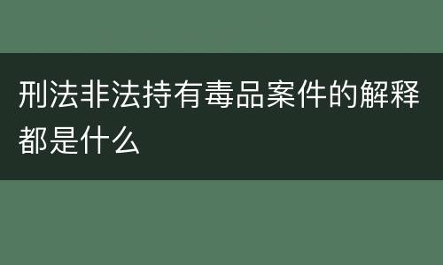 刑法非法持有毒品案件的解释都是什么