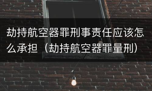 劫持航空器罪刑事责任应该怎么承担（劫持航空器罪量刑）