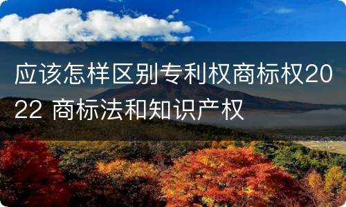 应该怎样区别专利权商标权2022 商标法和知识产权