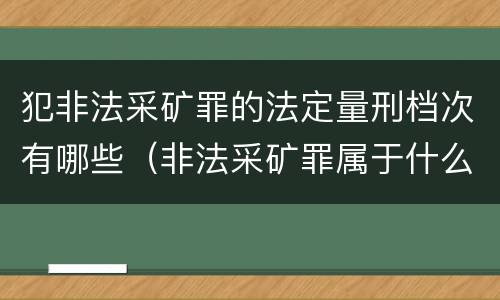 犯非法采矿罪的法定量刑档次有哪些（非法采矿罪属于什么大类）