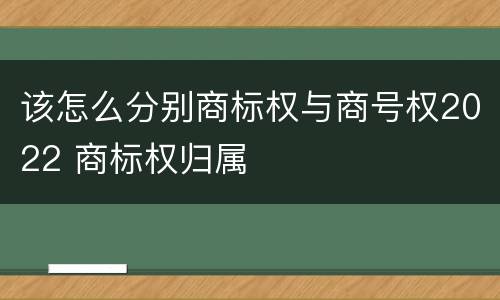 该怎么分别商标权与商号权2022 商标权归属