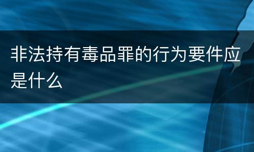 非法持有毒品罪的行为要件应是什么