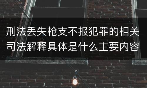 刑法丢失枪支不报犯罪的相关司法解释具体是什么主要内容