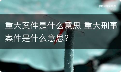 重大案件是什么意思 重大刑事案件是什么意思?