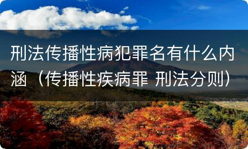 刑法传播性病犯罪名有什么内涵（传播性疾病罪 刑法分则）