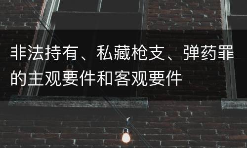 非法持有、私藏枪支、弹药罪的主观要件和客观要件