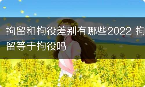 拘留和拘役差别有哪些2022 拘留等于拘役吗