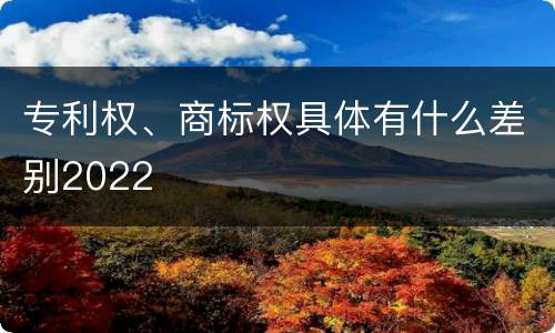 专利权、商标权具体有什么差别2022