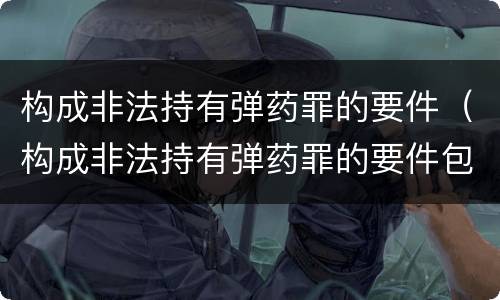 构成非法持有弹药罪的要件（构成非法持有弹药罪的要件包括）