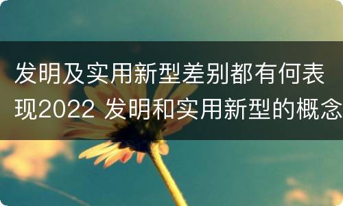 发明及实用新型差别都有何表现2022 发明和实用新型的概念