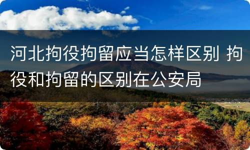 河北拘役拘留应当怎样区别 拘役和拘留的区别在公安局