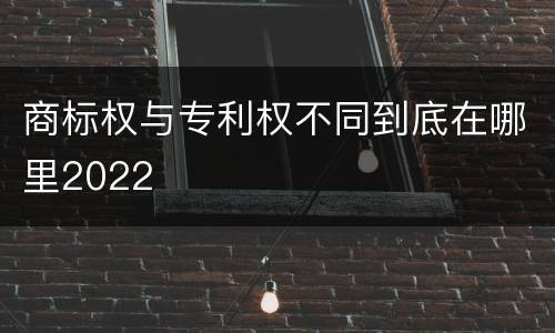 商标权与专利权不同到底在哪里2022