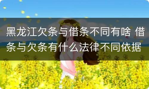 黑龙江欠条与借条不同有啥 借条与欠条有什么法律不同依据