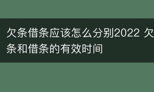 欠条借条应该怎么分别2022 欠条和借条的有效时间