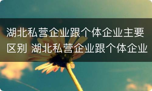 湖北私营企业跟个体企业主要区别 湖北私营企业跟个体企业主要区别是什么