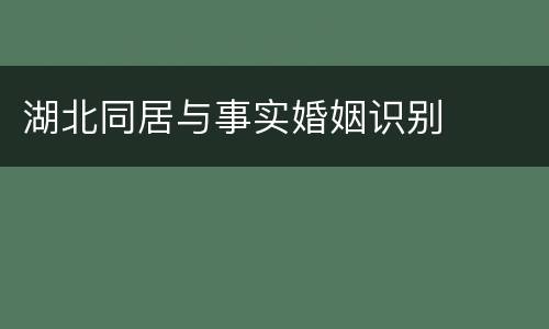 湖北同居与事实婚姻识别