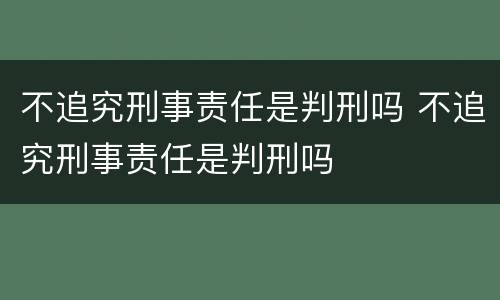 不追究刑事责任是判刑吗 不追究刑事责任是判刑吗