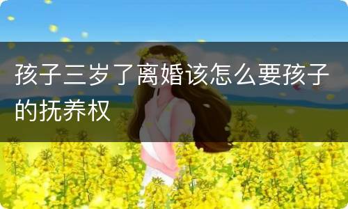 孩子三岁了离婚该怎么要孩子的抚养权