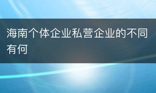 海南个体企业私营企业的不同有何