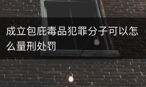 成立包庇毒品犯罪分子可以怎么量刑处罚