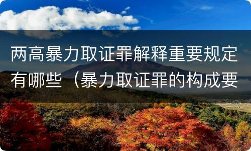 两高暴力取证罪解释重要规定有哪些（暴力取证罪的构成要件）