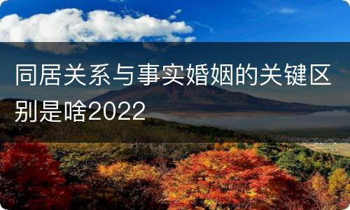 同居关系与事实婚姻的关键区别是啥2022