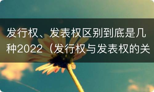 发行权、发表权区别到底是几种2022（发行权与发表权的关系）