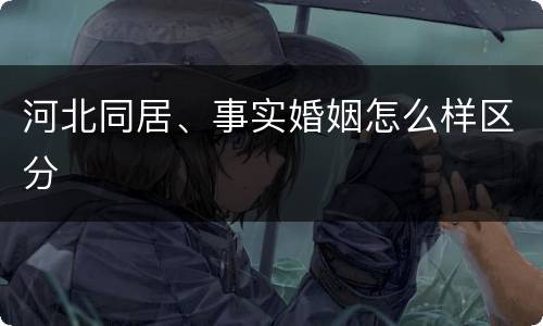 河北同居、事实婚姻怎么样区分